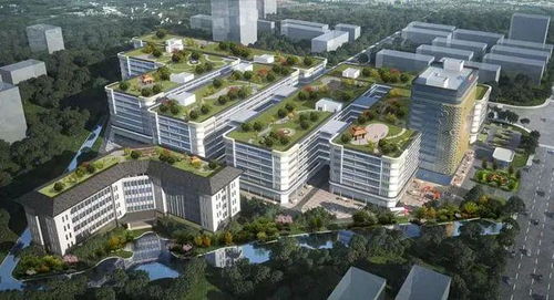 江門(mén)迎來(lái)企業(yè)投資熱潮，實(shí)業(yè)興城正當(dāng)時(shí)